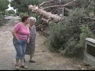 Elche se recupera de la tromba de agua