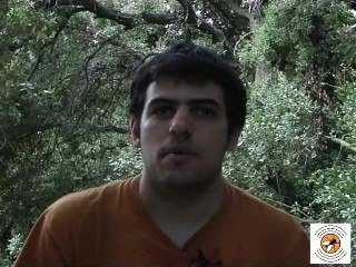 Activista que robó 492.00 euros a Bancos