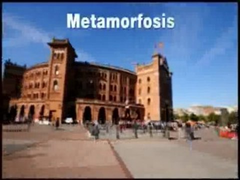 Metamorfosis en Las Ventas