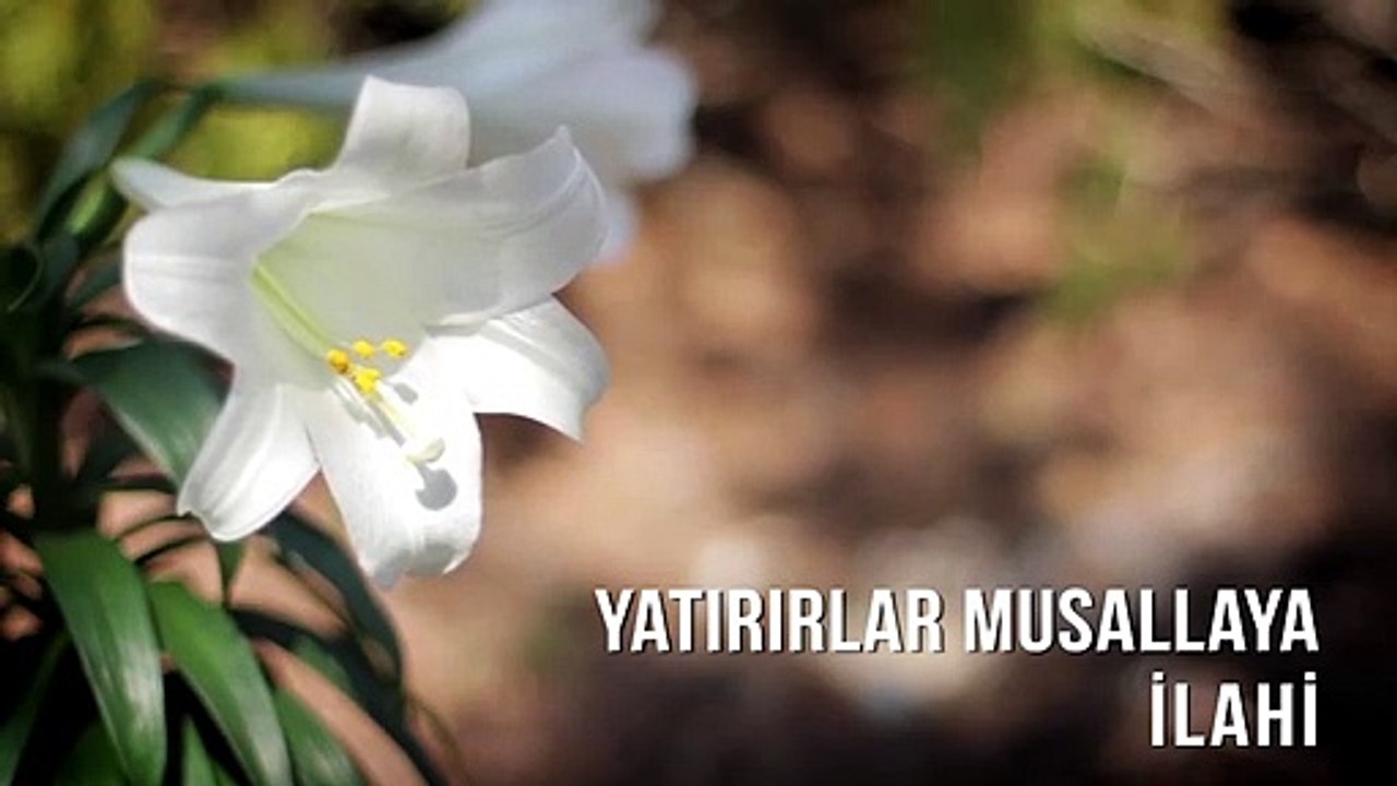 Müziksiz İlahiler - Yatırırlar Musallaya