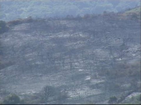 El incendio de Algeciras está estabilizado tras arrasar 480 hectáreas