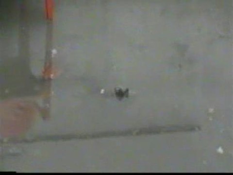 Un matrimonio de Sevilla denuncia que su vivienda se inunda de aguas fecales