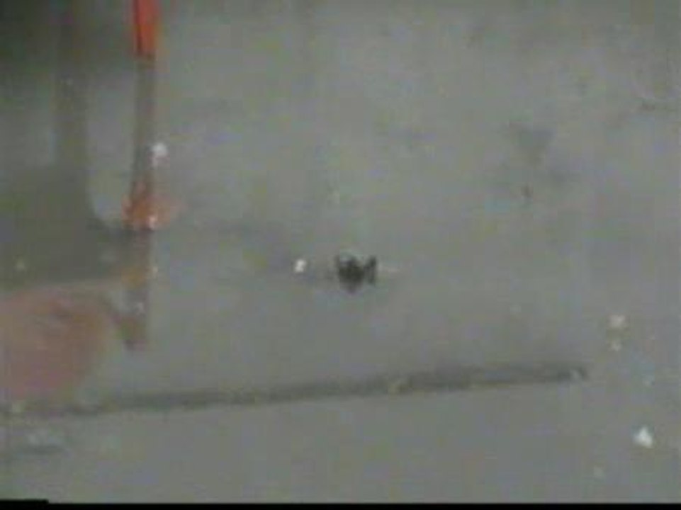 Un matrimonio de Sevilla denuncia que su vivienda se inunda de aguas fecales