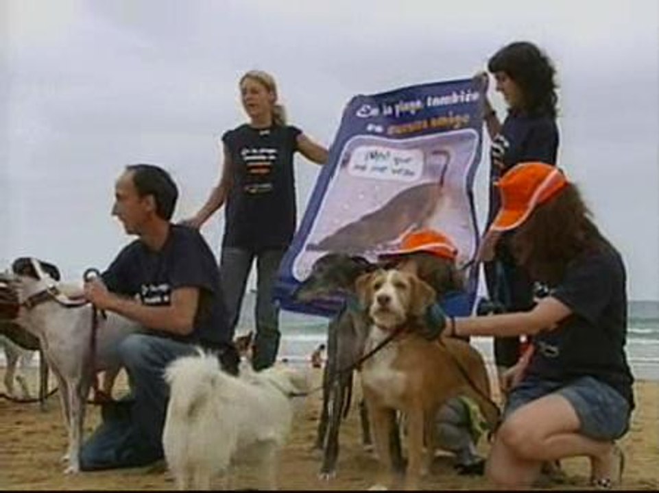 La asociación 'El Refugio' pide que se habiliten zonas especiales en las playas para llevar a los perros