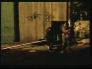 Paliza brutal a una familia peruana en Chile