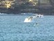 Dos ejemplares de ballena franca &#039;juguetean&#039; con surfistas en una playa australiana