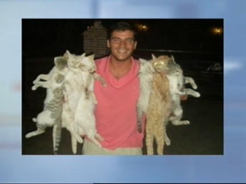 Los maltratadores de gatos se sentarán en el banquillo