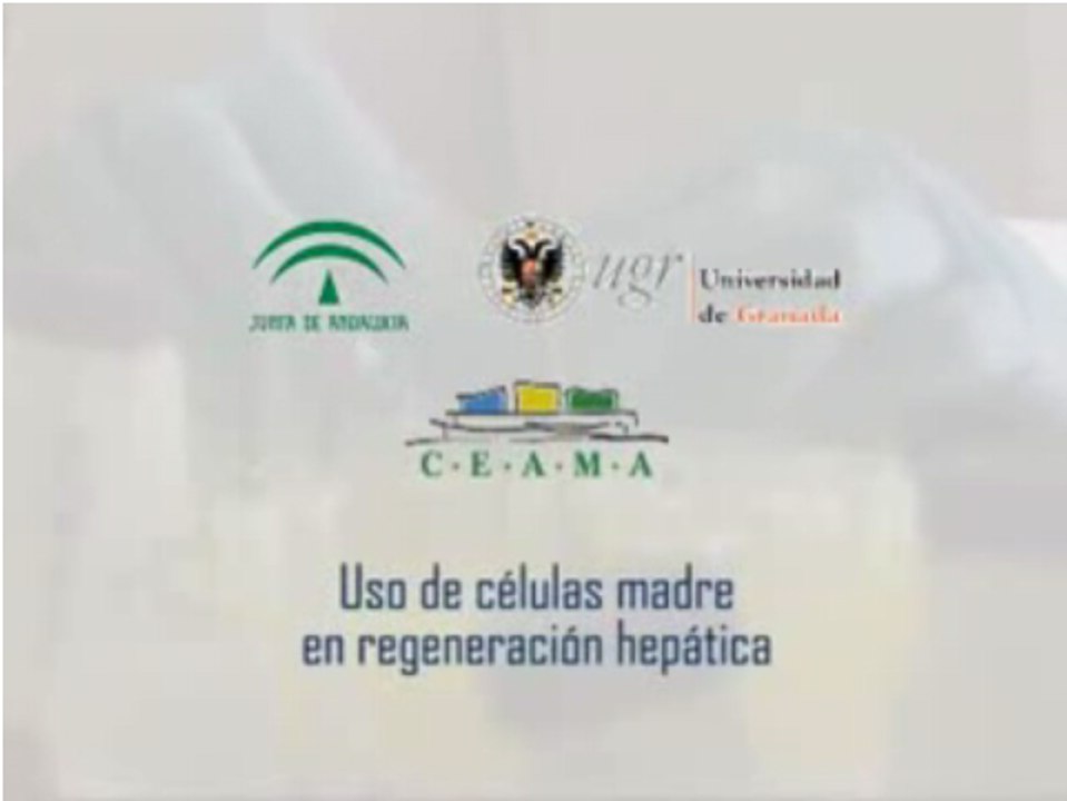 Uso de células madre para tratar enfermedades hepáticas