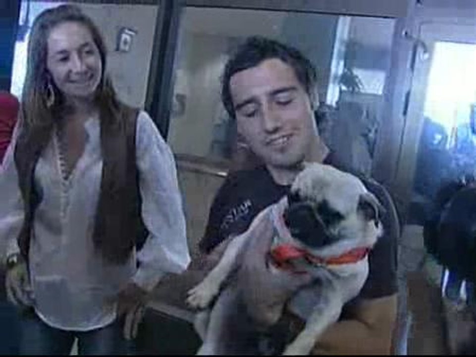 Villa y Cazorla llegan a Asturias con una agenda repleta de homenajes