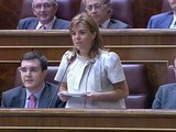 Sáenz de Santamaría reprocha a De la Vega la inactividad del Gobierno