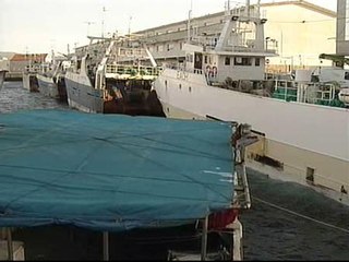 Amarre total de la pesca de altura