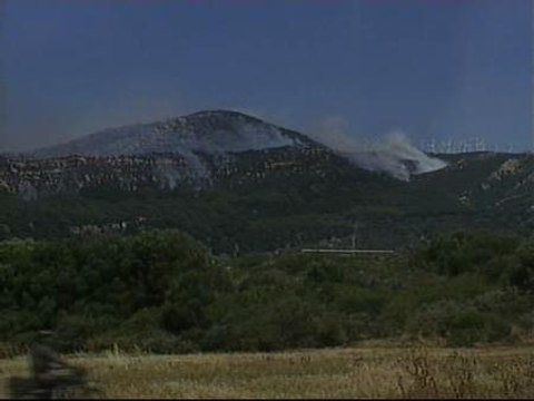 Un incendio en Tarifa se salda con seis detenciones