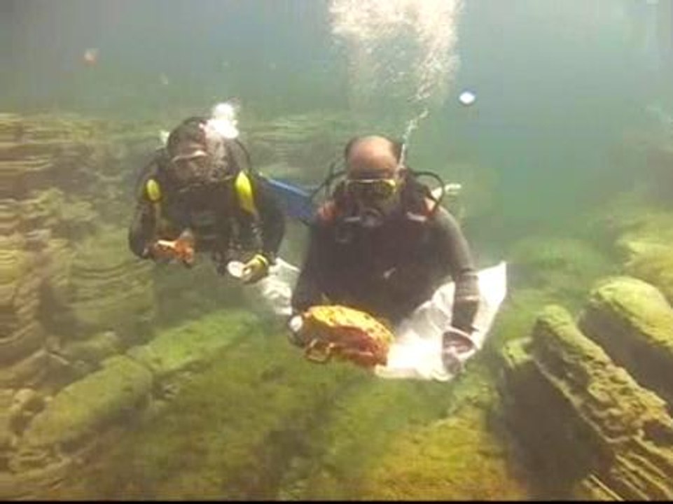 Diez toneladas de basura en tres playas canarias