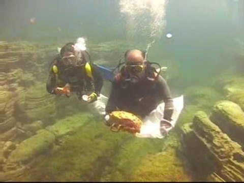 Diez toneladas de basura en tres playas canarias