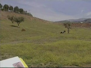 Un centenar de denuncias por estafa a una constructora de Sevilla