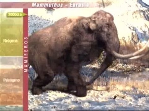 El cambio climático y el impacto humano acabaron con los mamuts