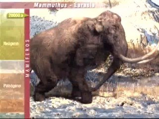 El cambio climático y el impacto humano acabaron con los mamuts