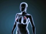 Nuevas dianas terapéuticas para frenar metástasis de cáncer de mama a pulmón