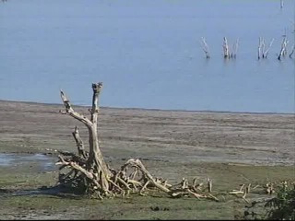 La situación de los embalses mejora en los últimos meses