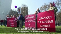 Brexit:réactions de manifestants devant le Parlement britannique