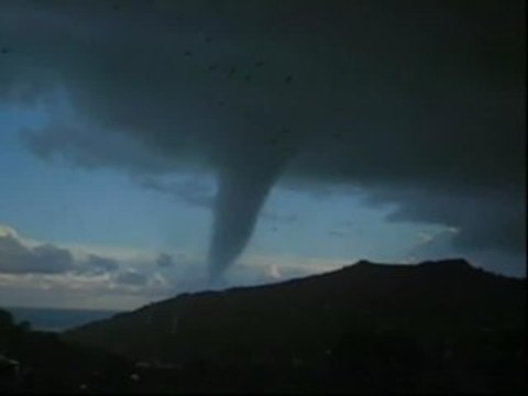 Los cambios en el uso del suelo podrían provocar extinciones masivas
