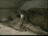 Encuentran dos momias de unos 200 años en un monasterio de Sao Paulo
