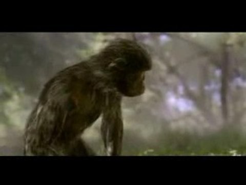 600 millones de años de evolución resumidos en cinco minutos