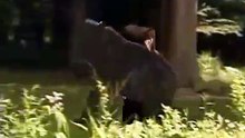 こ 슬롯카지노 무료바카라게임⊆⊆ＭＳＴ272、C O M⊇⊇바카라규칙 ナ열한 가운데, 신랑ナ