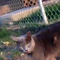 カ 강원랜드 라이브바카라사이트⊆⊆ＭＳＴ272、C O M⊇⊇마닐라카지노롤링 わ는 8월 말 이적 わ