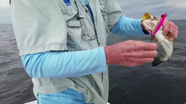 Travel Track On Sirk TV: ONE MORE CAST GUIDE SERVICE [Keaton Beach, Florida]