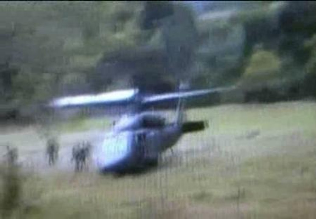 Sorprendidos en la selva