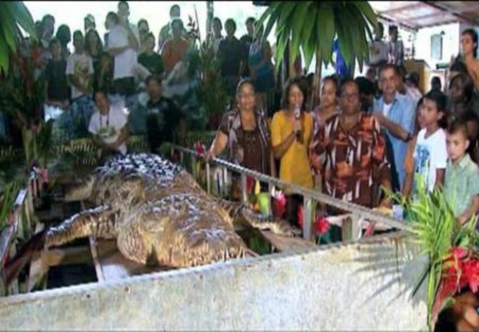 Muere 'Poncho', el cocodrilo que hizo famoso a un pueblo de Costa  Rica - Vídeo Dailymotion