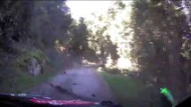 WRC 2 France 2019 Day 2 Rovanpera Pieniazek Huge Crash  Camilli Fire