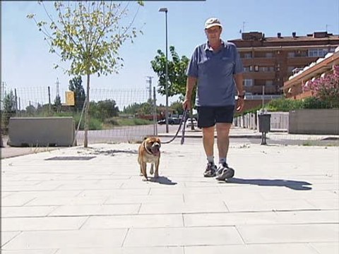 Envenenan perros en Lleida