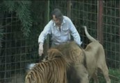 Igual Animal denuncia a 8 zoos por maltrato