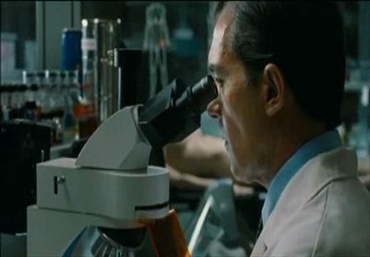 Seleccionadas las tres películas españolas que podrían optar a un