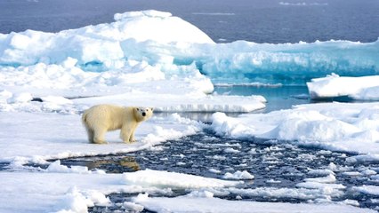 US judge blocks Trump bid to allow oil drilling in Arctic Ocean