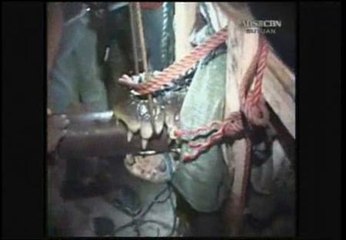 Capturan un cocodrilo de más de una tonelada en Filipinas