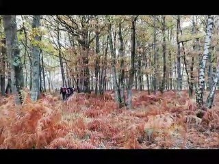 Randonnées automne 2018