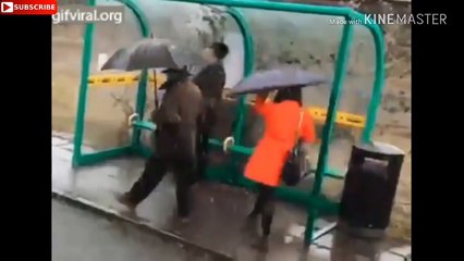 Trending funny videos from all over world -  Vidéos drôles