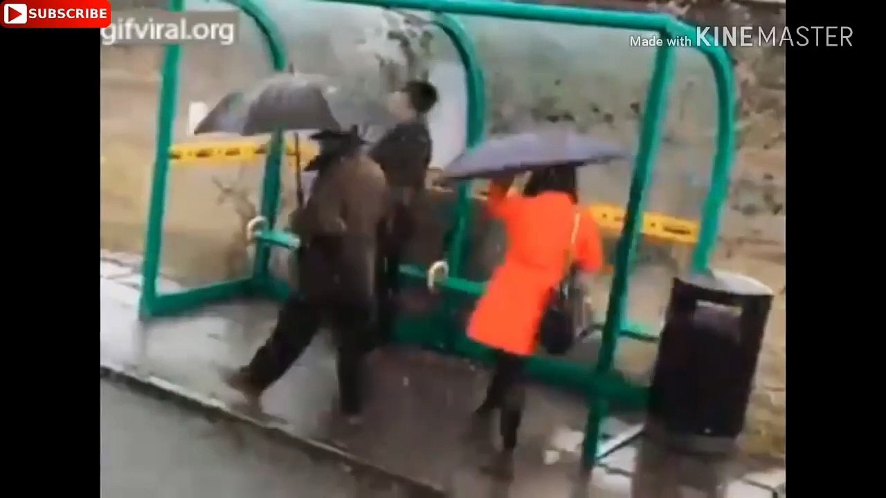 Trending funny videos from all over world -  Vidéos drôles