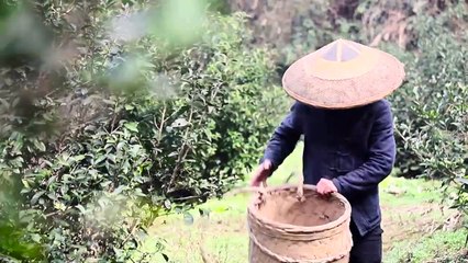 A famous dish in Hunan - Lawei is steamed, specially made for the brother's dish