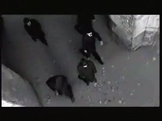 Hi-Fi - Глупые люди