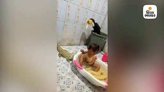 પાયથનને બ્રશ કરાવે છે અને મગરને કરે છે મેકઅપ, 4 વર્ષની આ બાળકી ઈન્ટરનેટ પર છવાઈ