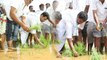 Lok Sabha Elections 2019 :ಪಂಚೆ ಕಟ್ಟಿ ಗದ್ದೆಗಿಳಿದು ಭತ್ತ ನಾಟಿ ಮಾಡಿದ ನಿಖಿಲ್ ಕುಮಾರಸ್ವಾಮಿ|Oneindia Kannada