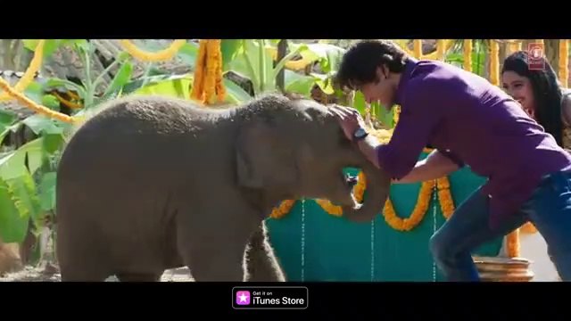 Fakeera Ghar Aaja Junglee Vidyut Jammwal, Pooja Sawant Jubin Nautiyal Sameer Uddin