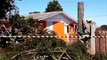 Bombeiros cortam pinheiro que ameaçava residências