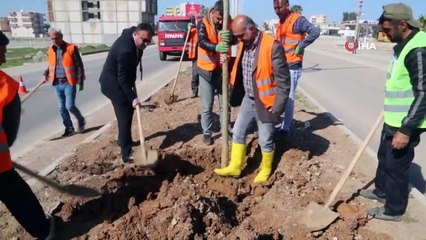 Silopi Belediyesi'nden modern ışıklandırmalar ve peyzaj çalışmaları