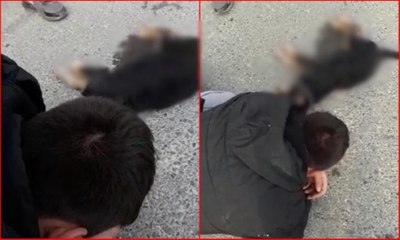 Köpeğinin başında dakikalarca ağladı