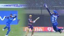 IPL 2019: Rishabh Pant takes a blinder behind the stumps, Chris Lynn departs | वनइंडिया हिंदी